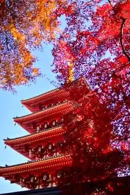 高幡不動尊　金剛寺(東京都)