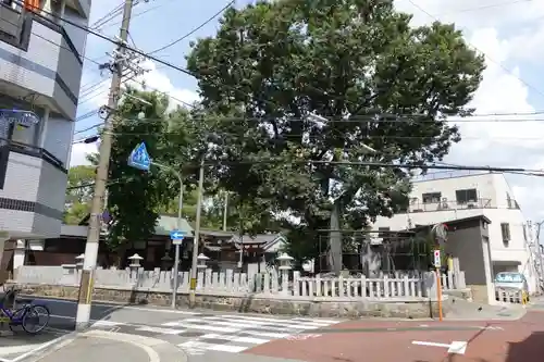 生野神社の周辺