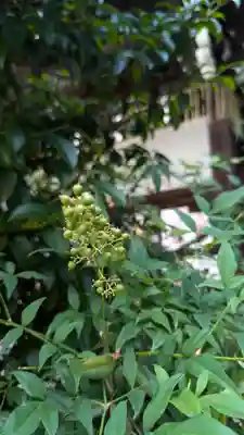 京都大神宮(京都府)