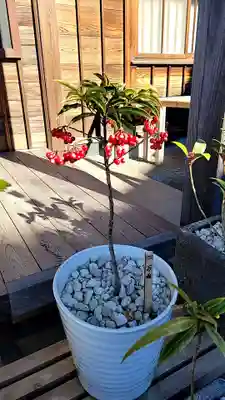 妙蓮寺(神奈川県)