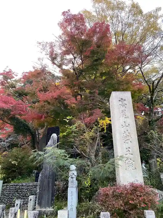 高尾山薬王院のその他建物