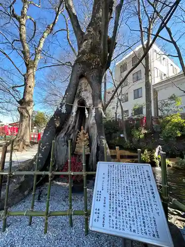 秩父今宮神社(埼玉県)