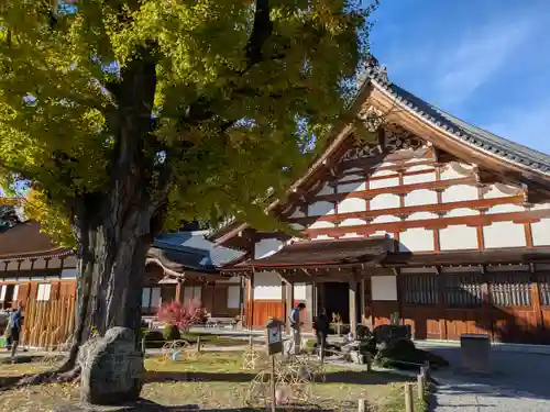 永保寺(岐阜県)