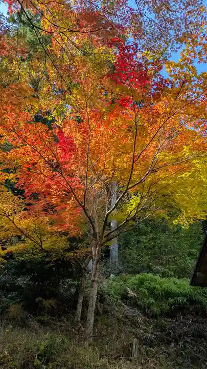 善妙大明神(京都府)