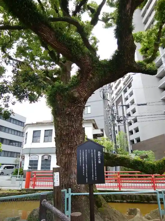 天津神社の自然