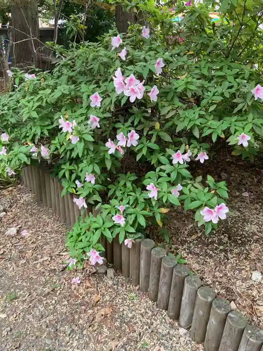 青山熊野神社(東京都)