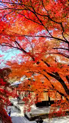 南禅寺(京都府)