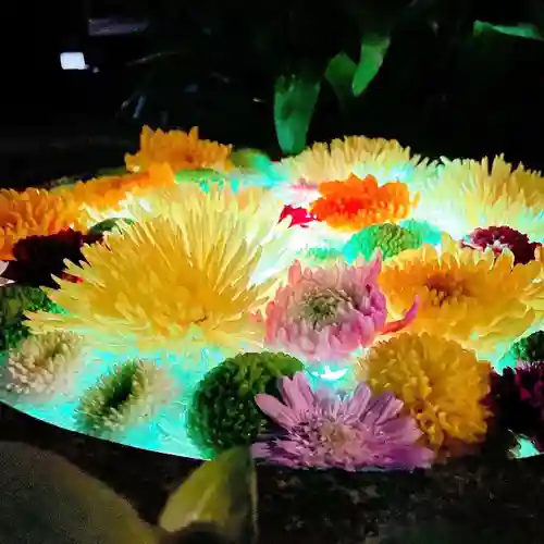 菅生神社の手水舎