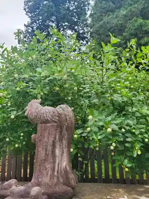 沙沙貴神社(滋賀県)