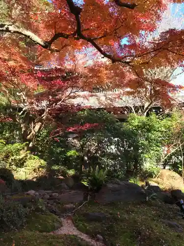 長谷寺の庭園