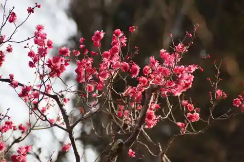 長岡天満宮(京都府)