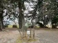 樹下神社(中野)(滋賀県)