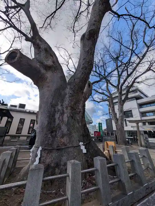 阿邪訶根神社(福島県)