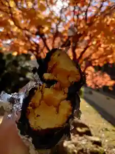 日蓮宗 総本山 塔頭 定林坊(じょうりんぼう)(山梨県)(2023年11月27日(月) 17時43分46秒投稿)