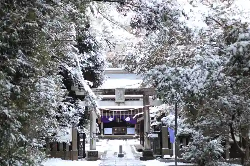 忍　諏訪神社・東照宮　の{uncategorized: "未分類", other: "その他", undefined: "問題あり", building: "その他建物", grave: "お墓", sacred_gate: "鳥居", guardian: "狛犬", statue: "像", buddha: "仏像", history: "歴史", nature: "自然", garden: "庭園", animal: "動物", pagoda: "塔", temizu: "手水舎", mountain_gate: "山門・神門", sanctuary: "本殿・本堂", subordinate: "末社・摂社", art: "芸術", scenery: "景色", jizo: "地蔵", ema: "絵馬", goshuin: "御朱印", omikuji: "おみくじ", items: "授与品その他", amulet: "お守り", goshuincho: "御朱印帳", eats: "食事", festival: "お祭り", votive_dance: "神楽", shichigosan: "七五三参", wedding: "結婚式", experience: "体験その他", initially: "初詣", around: "周辺", anti_infection: "感染症対策"}