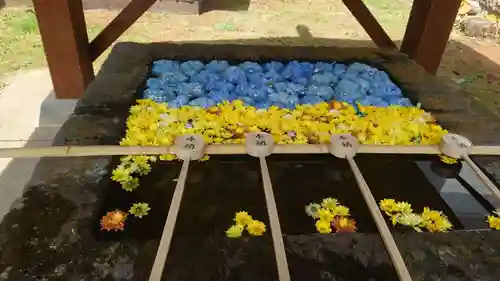 土津神社｜こどもと出世の神さま(福島県)