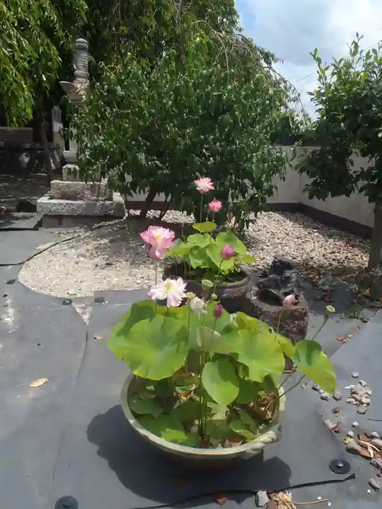 荘厳寺(岐阜県)