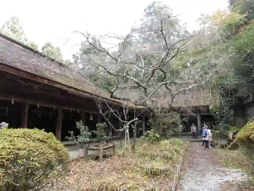 吉野水分神社の本殿