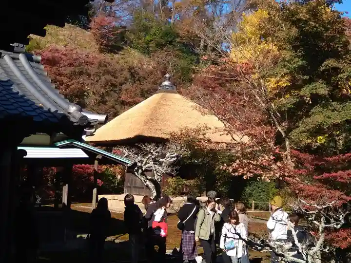 長壽寺(長寿寺)(神奈川県)
