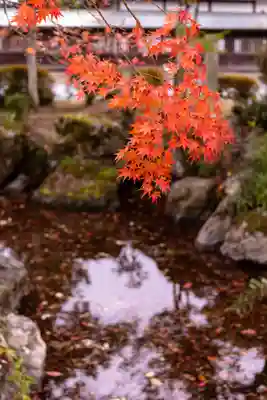 宗像大社(福岡県)