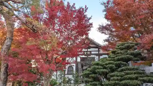 禅林寺（永観堂）(京都府)