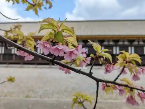 蓮華王院（三十三間堂）(京都府)