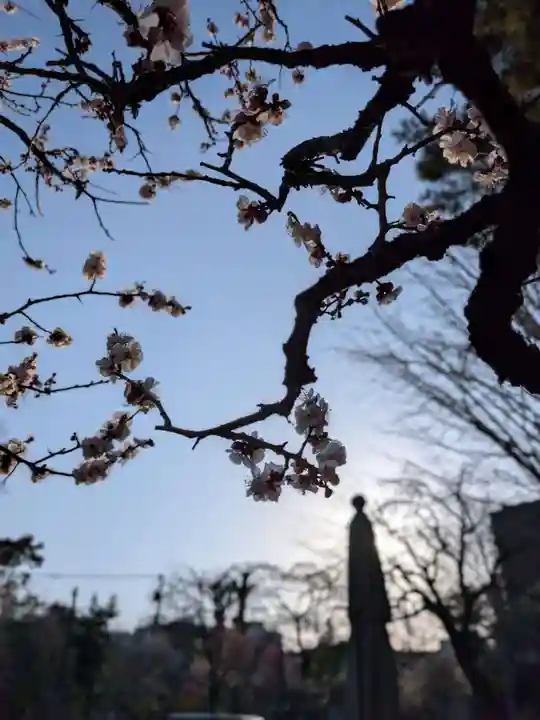 蓮華寺(東京都)