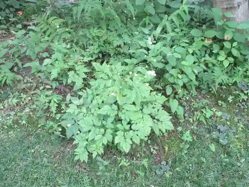 青龍山 吉祥寺(群馬県)