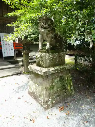 王宮神社の狛犬