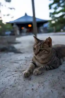 智恩寺(京都府)