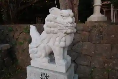 新井崎神社の狛犬