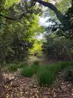 薬師堂厳島神社(千葉県)