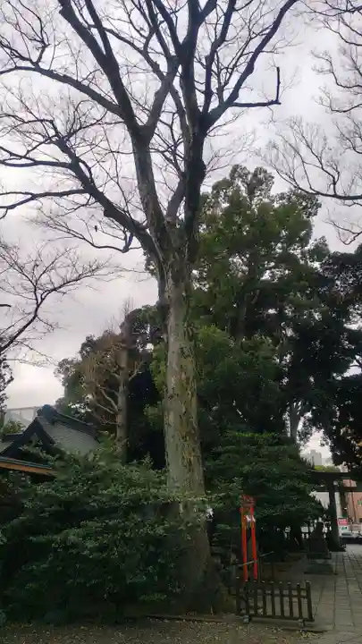 武蔵野八幡宮(東京都)