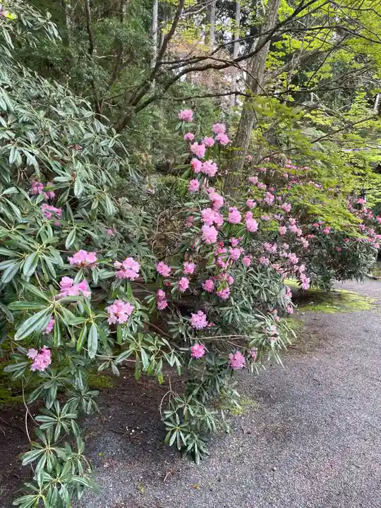 本王院(和歌山県)