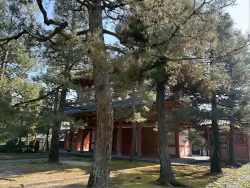 大徳寺(京都府)