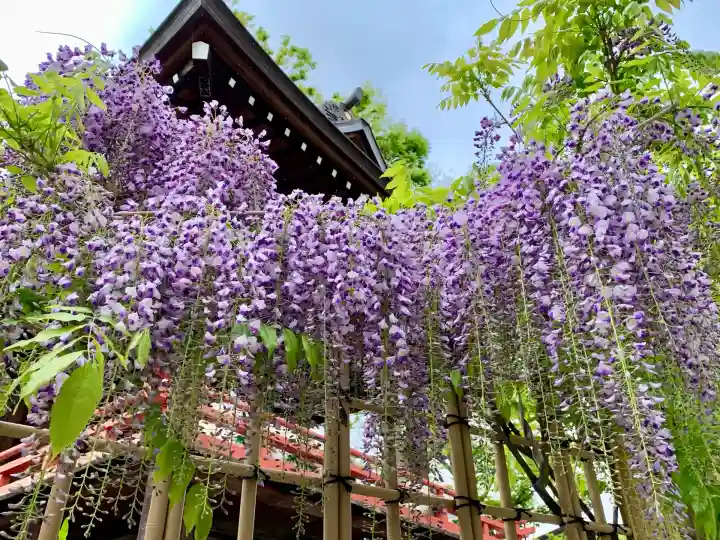 安積國造神社(福島県)