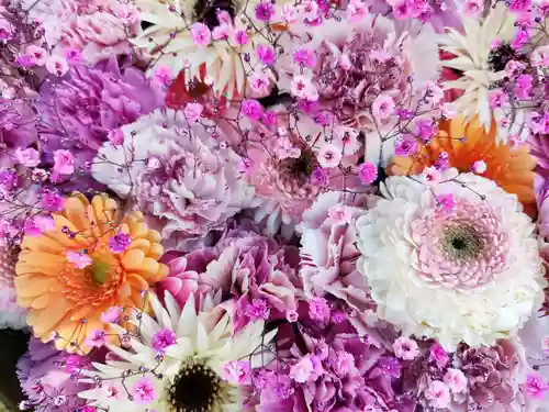 彌都加伎神社の手水舎