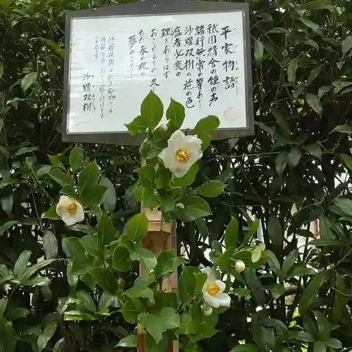 明月院(神奈川県)