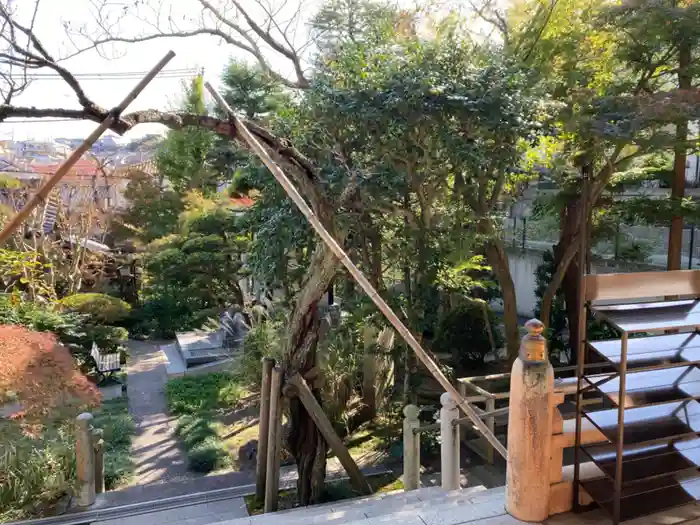 東光禅寺の建物その他