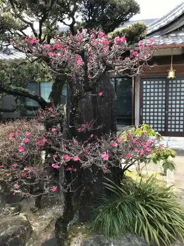 大聖院の庭園