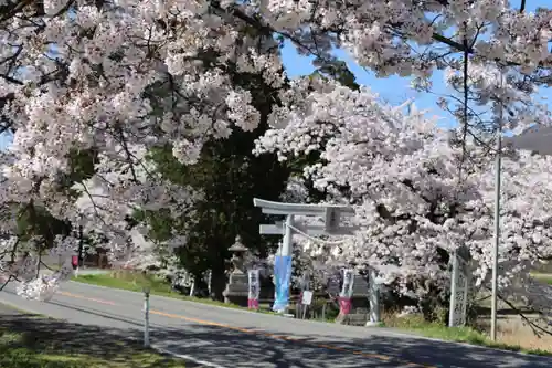 高司神社〜むすびの神の鎮まる社〜の鳥居