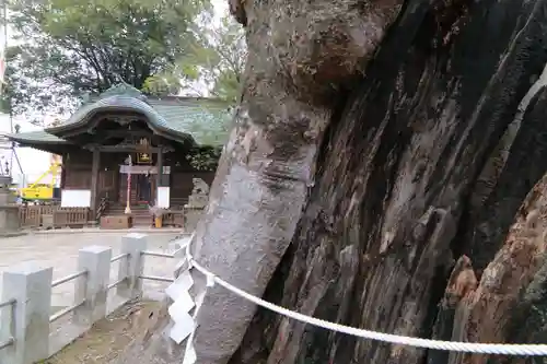 阿邪訶根神社の本殿