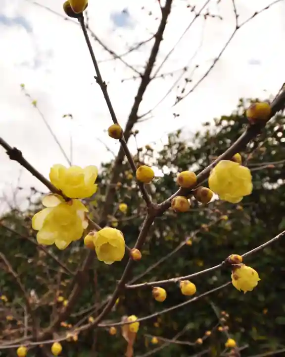 元興寺(奈良県)