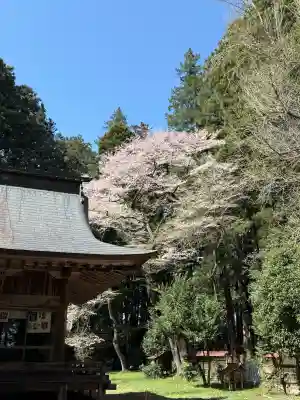 都々古別神社(馬場)の{uncategorized: "未分類", other: "その他", undefined: "問題あり", building: "その他建物", grave: "お墓", sacred_gate: "鳥居", guardian: "狛犬", statue: "像", buddha: "仏像", history: "歴史", nature: "自然", garden: "庭園", animal: "動物", pagoda: "塔", temizu: "手水舎", mountain_gate: "山門・神門", sanctuary: "本殿・本堂", subordinate: "末社・摂社", art: "芸術", scenery: "景色", jizo: "地蔵", ema: "絵馬", goshuin: "御朱印", omikuji: "おみくじ", items: "授与品その他", amulet: "お守り", goshuincho: "御朱印帳", eats: "食事", festival: "お祭り", votive_dance: "神楽", shichigosan: "七五三参", wedding: "結婚式", experience: "体験その他", initially: "初詣", around: "周辺", anti_infection: "感染症対策"}