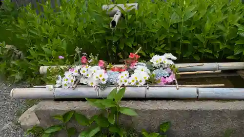 二尊院(京都府)