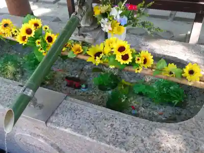 新田神社の手水舎