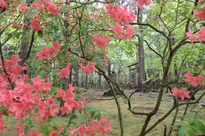 深山巴の宿の自然