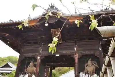 浄土寺の山門・神門
