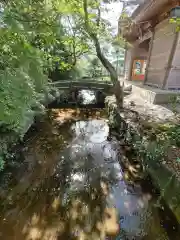 新発田諏訪神社の自然