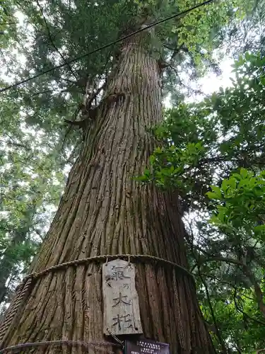 塩原八幡宮のその他建物